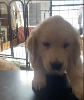 羨ましすぎる光景でした♡