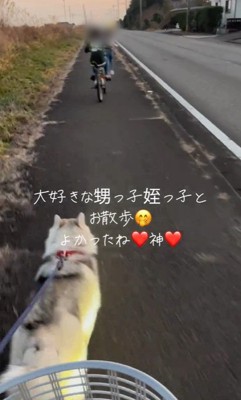 甥っ子と姪っ子とお散歩する神ちゃん3