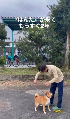 ぽんた君の変化2