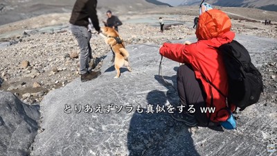 「僕にも構ってください♡」