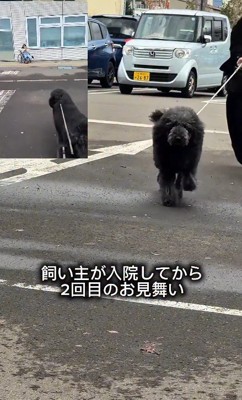 2度目のお見舞いに