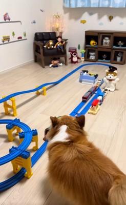 運行を見守るラピくん