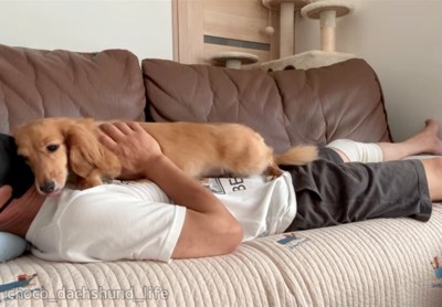 パパに甘える犬
