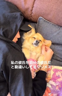 添い寝で眠るワンコ