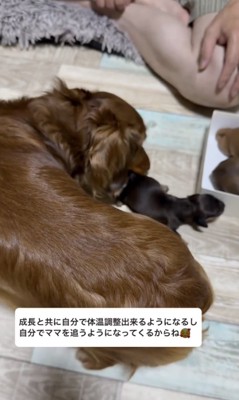 「あなたも戻るわよ」