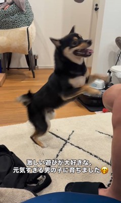 ラムくんの変化4