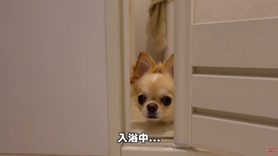 「まだ～？」とお顔をひょっこり