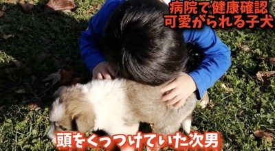 頭をくっつける次男くん