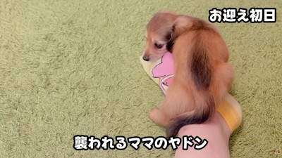 人懐こい一面を発揮