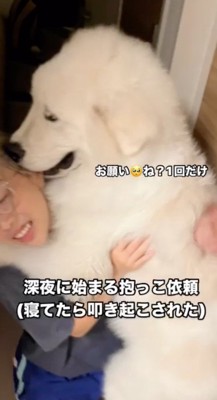 女性に抱きつく犬