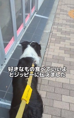 歩き出したジッピーくん