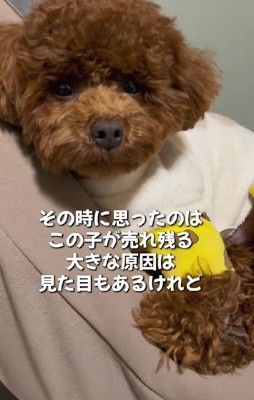 売れ残った理由…