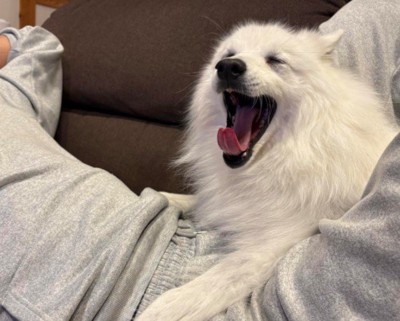 子犬みたいにチャーミングな一面も