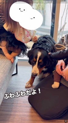 犬の頭を撫でる2人の赤ちゃん