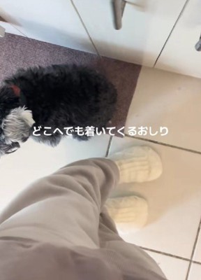 「もう離れないでね」