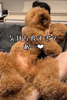 うっとり顔で満喫中♡