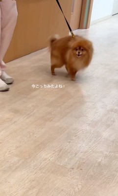 気づいたゆいるくん