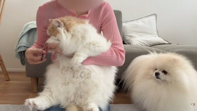ポテチくんは心配そう