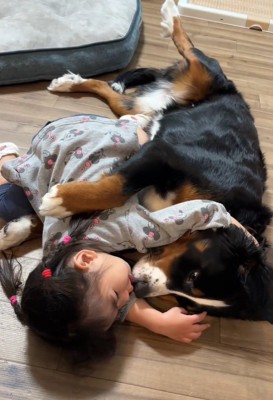 娘さんに顔を近づけるベルちゃん