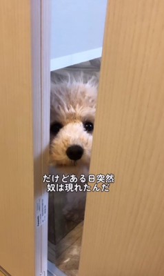 まさかの出来事が…