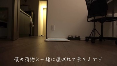 自転車が運ばれてきた