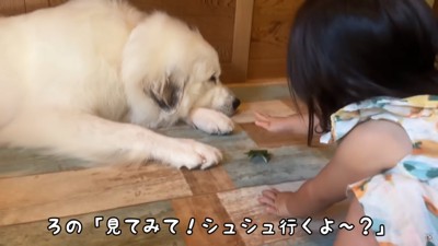 折り紙を披露するろのちゃん