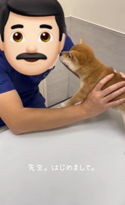 ももちちゃんのはじめての注射3