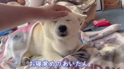あいちゃんがお目覚め