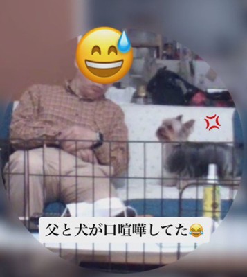 平和な光景にほのぼの