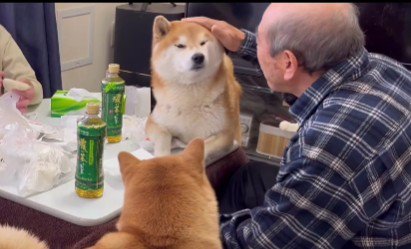 優しいおじいちゃんでした♡