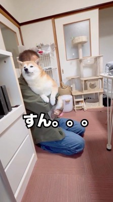 男性に抱き上げられて遠くを見つめる犬