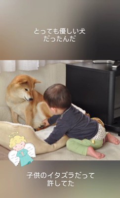 とっても優しい子だったとか