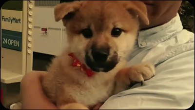ご夫婦の元にやってきた