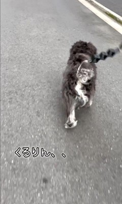 綱吉くんを止める方法5