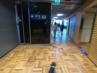 空港内を歩く犬