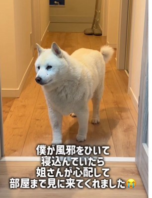 風邪を引いて寝込んだら…