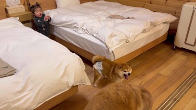 リモコンが欲しかっただけだった！