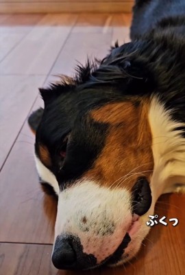 痙攣する都ちゃん