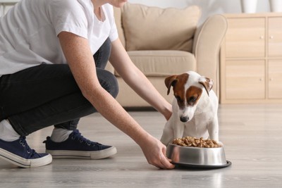 フードを与える女性と犬