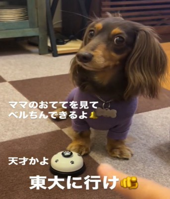 笑う犬2