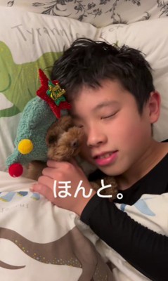 「本当に何もいらないの?」