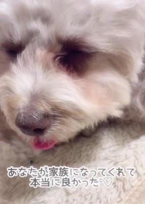 家族になれてよかった♡