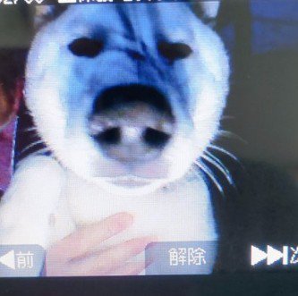 「いるのは分かってんだよ…」