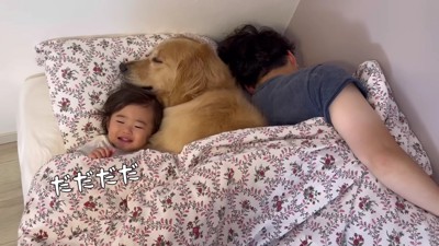 圧縮されるパパにクスッ