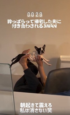 ママを見るしらこちゃん