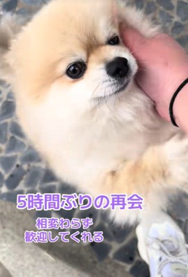 二本足で立ち上がって…