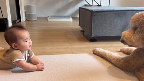 わたげちゃんと赤ちゃんのふれあい2