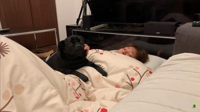 ママさんを介抱するわさび君8