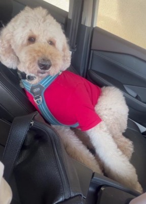 まるで人間のよう…