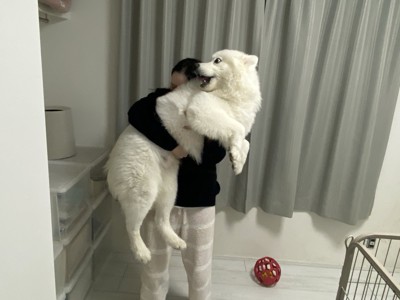 衝撃